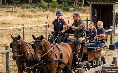 Recreatieritten met menkar en paarden